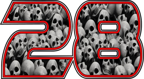 Skulls race car - skulls,